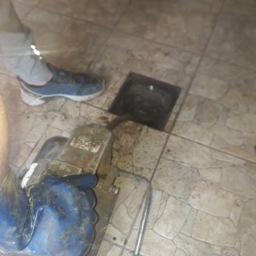 Destapacion de tapa cloacal